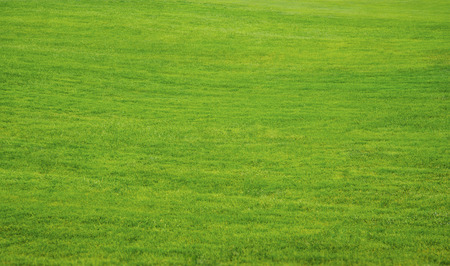 Green grass lawn with sunny and rainy daysの写真素材