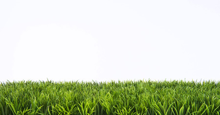 Green grass lawn with sunny and rainy daysの写真素材