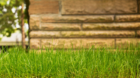 Green grass lawn with sunny and rainy daysの写真素材