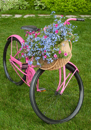 Old pink bike as yard decor pieceの写真素材
