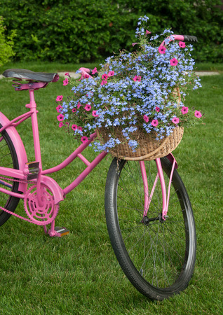 Old pink bike as yard decor pieceの写真素材
