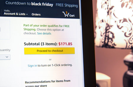 Online shopping checkout purchase of cart contents