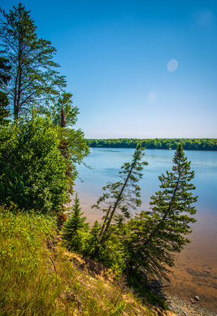 Hillside shore lake river pine treeline Michigan UPの写真素材