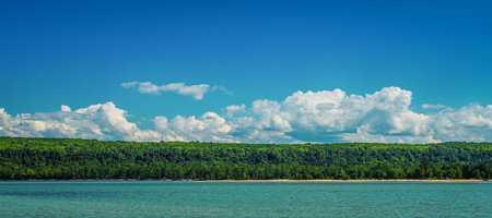 Summer tree line shore Lake Superior Michiganの写真素材