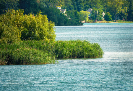 Scenic view of island in Detroit River south greeneryの写真素材