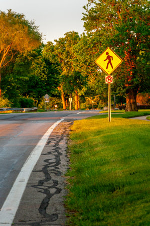 Curve in empty country road early summer morning with children crossing signの写真素材