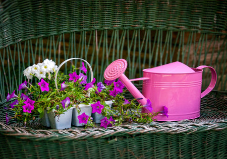Tools on wicker bench for Gardening yardの写真素材