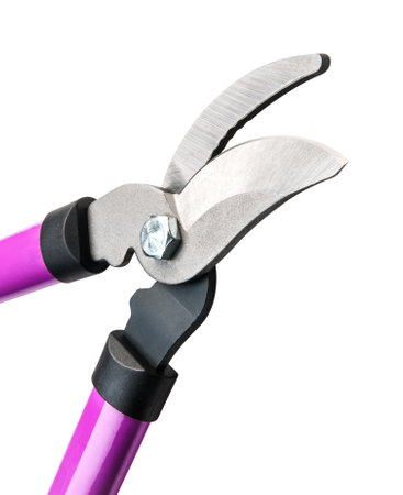 High-quality image of a set of steel pruning shears with purple handles. Perfect for gardening or maintenance activities. Detailed and suitable for professionals and enthusiasts.の写真素材