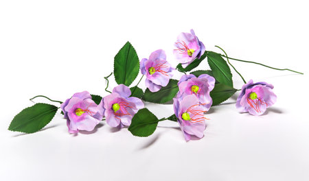 Purple artificial flowers in delicate bloom with bright green leaves lie arranged against a plain white background, offering a realistic aesthetic ideal for decoration or artistic inspiration.の写真素材