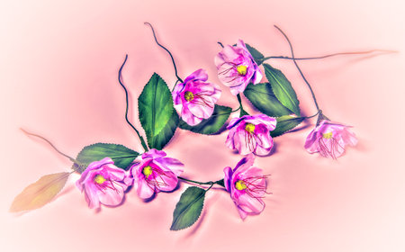An arrangement of elegantly styled pink flowers laid out on a pastel background, evoking a sense of grace, artistic expression, and serene beauty.の写真素材