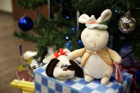 soft toysの写真素材