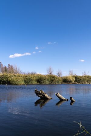 Haidong wetland sceneryの写真素材