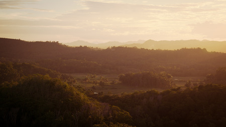A romantic and fiery sunset covers the jungle of Bohol in golden fog.の写真素材
