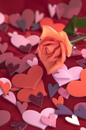 Pink rose laying on random hearts of red and pink on red velvet for Valentines dayの写真素材