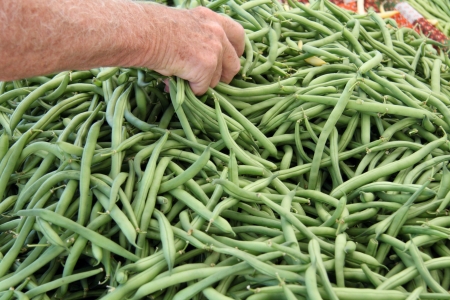 green organic bush beans at a marketの写真素材