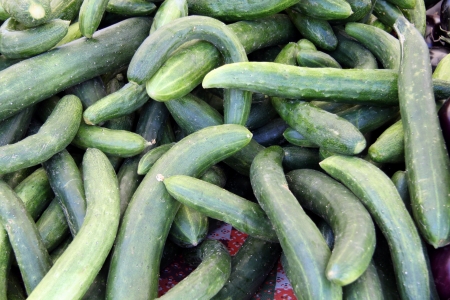 organic long cucumbers at a marketの写真素材