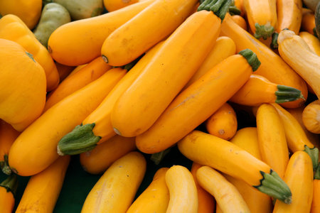 organic yellow squash
