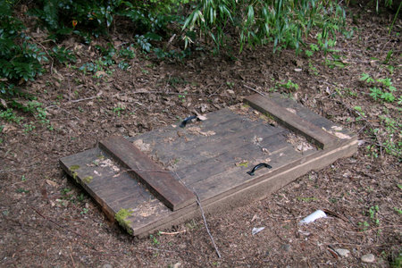 trap door in the ground