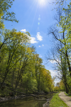 The gravel bicycle path runs through the forest beside the historic C&O Canal Towpath.の写真素材