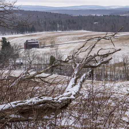 An old fallen tree sits on a hill above a barn and snow covered hills in the countryside of McHenry, Maryland, USA.の写真素材