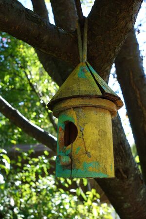 A brightly painted bamboo birdhouse in colors of green and yellow hangs from the branch of a leafy tree.の写真素材