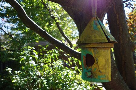 A brightly painted bamboo birdhouse in colors of green and yellow hangs from the branch of a leafy tree.の写真素材