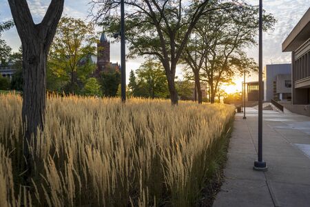 Crouse College is seen on a hill in the distance as a golden sun sets over the city of Syracuse, New York.の写真素材
