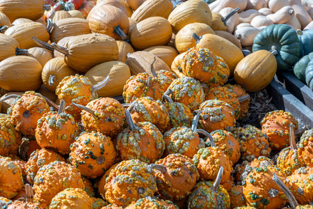 An assortment of gourds assembled in a stack at a Fall harvest festival.の写真素材