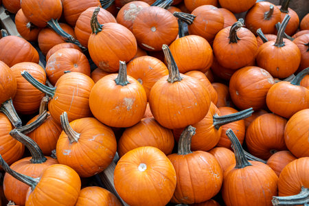 An abundance of orange pumpkins in a cart at a Fall harvest festival in rural Virginia.