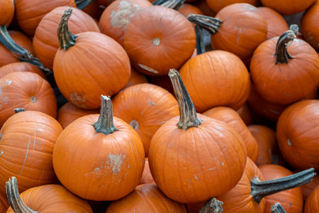 A stack of small orange pumpkins at a Fall Harvest Festival creates a vibrant and rustic scene, evoking the essence of autumn.の写真素材