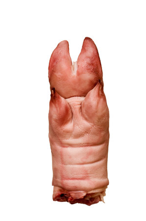 a pig hoof is on whiteの写真素材