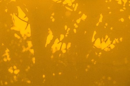 abstract background texture of shadows leaf on yellow cement wall