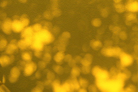 Abstract yellow shadow background of natural leaves tree branch falling on yellow wall texture for...