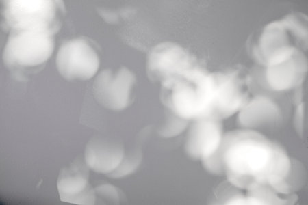 abstract bokeh of shadows leaf tree on a white wall texture background.