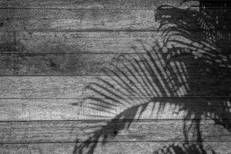 Shadows from tropical leaves of palm tree on a wooden background. Blurry soft shadows. gray wood, realistic texture. Background for projects and design.の写真素材