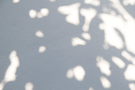 Abstract gray shadow background of natural leaves tree branch falling on white wall texture for...