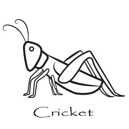 Grasshopper mantisのイラスト素材