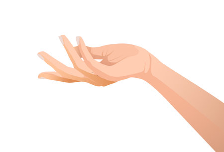 Illustration vector of Beauty and Health theme: beautiful elegant female hand show gesture on an isolated white background. vectorのイラスト素材