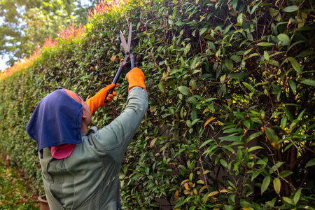 female worker cutting branches with scissors. image