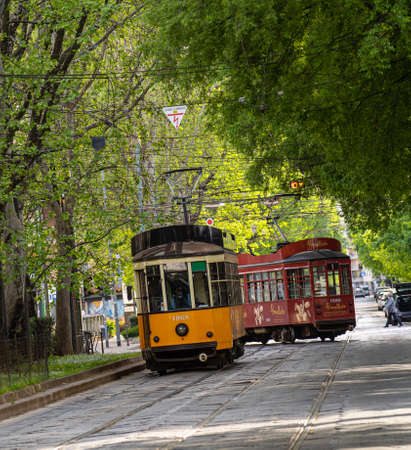 Tram in the greenのeditorial素材
