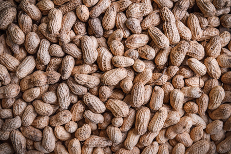 Fresh peanuts from the market on sale の写真素材