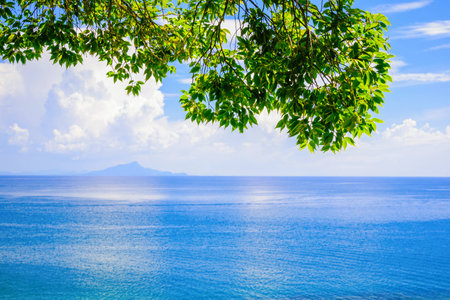 green leaf blue sea space sky backgroundの写真素材
