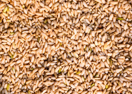 close up of brown rice,coarse rice  grains  for backgroundの写真素材