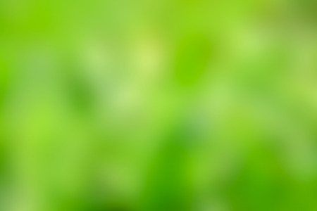 abstract green blurred natural backgroundの写真素材
