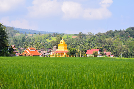 Buddhist temple at "Wat Sri Pho Chai Sang Pha" temple in Loei province, Thailand ( 400 year  temple)の写真素材
