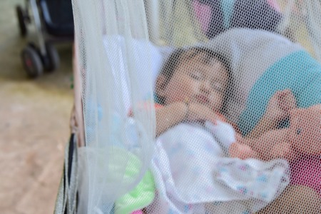 baby sleeping under a mosquito nets in cradleの写真素材