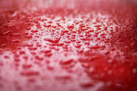 Close up water drops on red car serface for backgroundの写真素材