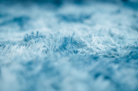 Top view gray carpet texture detail dry in the sun after washing.の写真素材