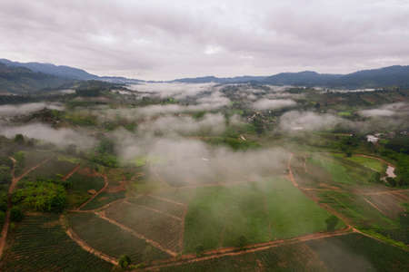 Aerial view landscape of Farm land fild in rural village mountains of asia with mist fog during morning timeの写真素材