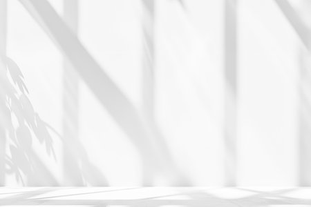 Abstract white wall with soft shadow of window and flowers and palm leaves background for product presentation or overlay designの素材